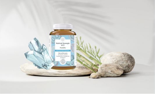 Nutrical Synergie N°2