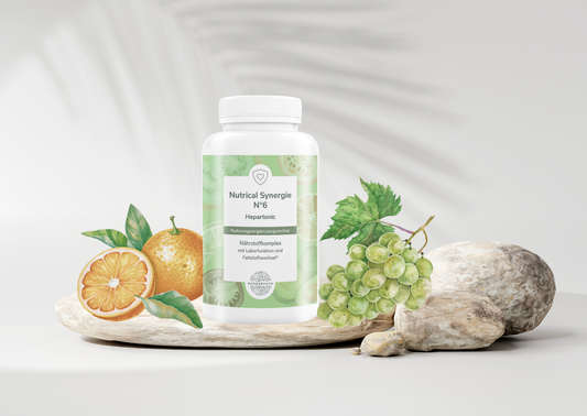 Nutrical Synergie N°6