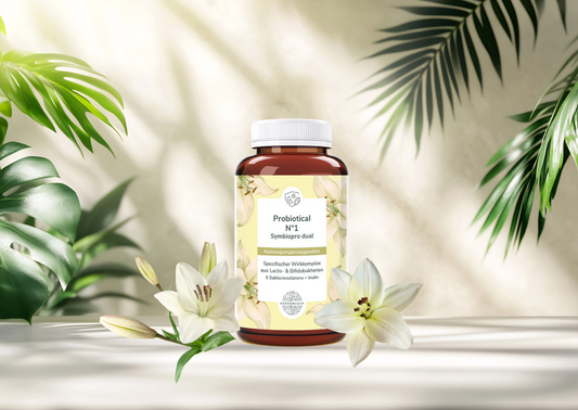 Probiotical N°1